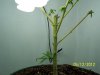 may 12 2012 007.jpg