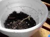 4-18-2012 024.jpg