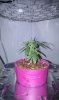 IMAG0597.jpg