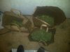 IMG-20120520-00152.jpg