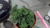 2012-05-18_10-38-26_70.jpg