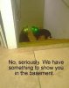tumblr_m18xzjzsZA1qhq1pjo1_400.jpg