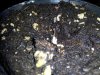 2012-05-22 20.56.26.jpg