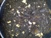 2012-05-22 20.56.36.jpg