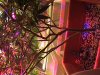 DSC03040.JPG