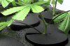 2012-05-24_03-18-44_21.jpg 2012-05-24_03-18-44_21.jpg
