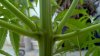 IMG-20120522-WA0002.jpg