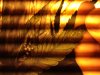 IMG_0276.jpg