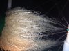 IMG_0289.jpg
