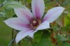 DSC_0066.jpg DSC_0066.jpg