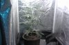 IMAG0422.jpg