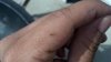 2012-05-24_16-43-11_191.jpg