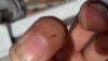 2012-05-24_16-42-46_217.jpg