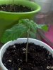 CYMERA_20120526_212811.jpg