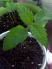 CYMERA_20120526_212856.jpg