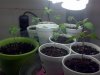 CYMERA_20120526_213022.jpg