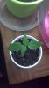 2012-05-26_21-32-20_278.jpg