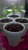 2012-05-26_21-33-36_290.jpg