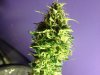 May 26 2012 028.jpg