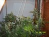 100_2580.jpg