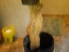 IMG00292-20120528-1640.jpg