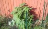 2012-05-28_17.44.10.jpg