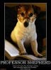 professor-shepherd-dog-demotivational-posters-1301205682.jpg