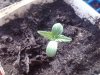 IMG_20120515_162140.jpg