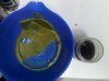 IMG_20120530_190940.jpg
