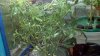 2012-05-31_20-04-40_370.jpg