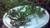 2012-05-31_19-52-34_506.jpg