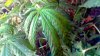 2012-05-31_19-48-42_460.jpg