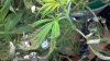 2012-05-31_19-34-52_183.jpg