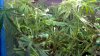 2012-05-31_15-00-05_940.jpg