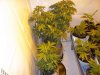 100_0275.jpg