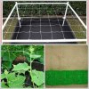 Plant-Support-Net-100mm-X-100-Mm.jpg