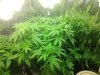 20120601_004004-906945319.jpg