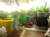 20120601_004348686877262.jpg