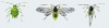 Image6.gif