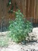 100_1653.jpg
