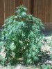 100_1654.jpg