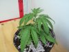 100_0725.jpg