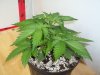 100_0724.jpg