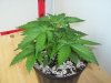 100_0719.jpg