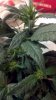 2012-06-03_09-48-40_182.jpg