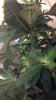 2012-06-03_10-42-13_592.jpg