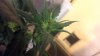 2012-06-03_10-42-19_577.jpg