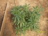 100_0281.jpg