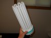 DSCN3254.jpg
