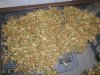 Hash (1).jpg